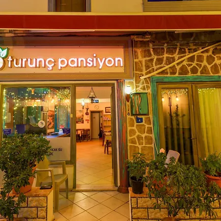 Turunc Kwatera prywatna Bodrum